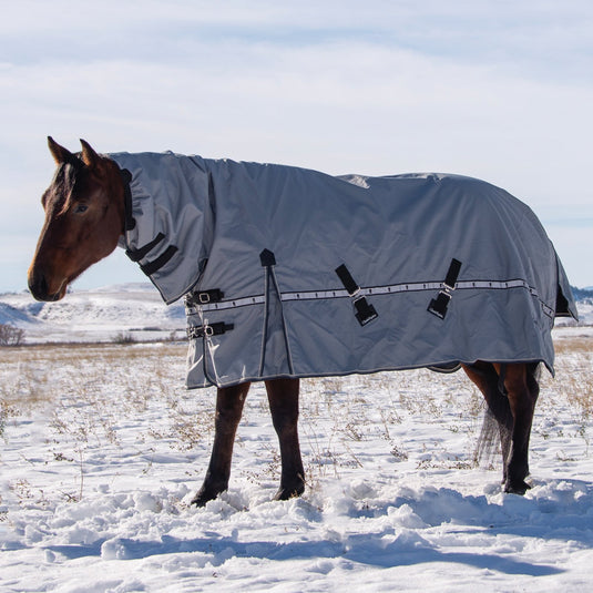 Classic Equine 10K Hooded Cross Trainer Blanket