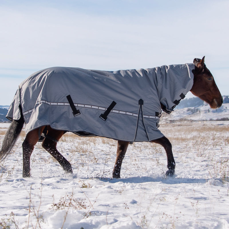 Load image into Gallery viewer, Classic Equine 10K Hooded Cross Trainer Blanket
