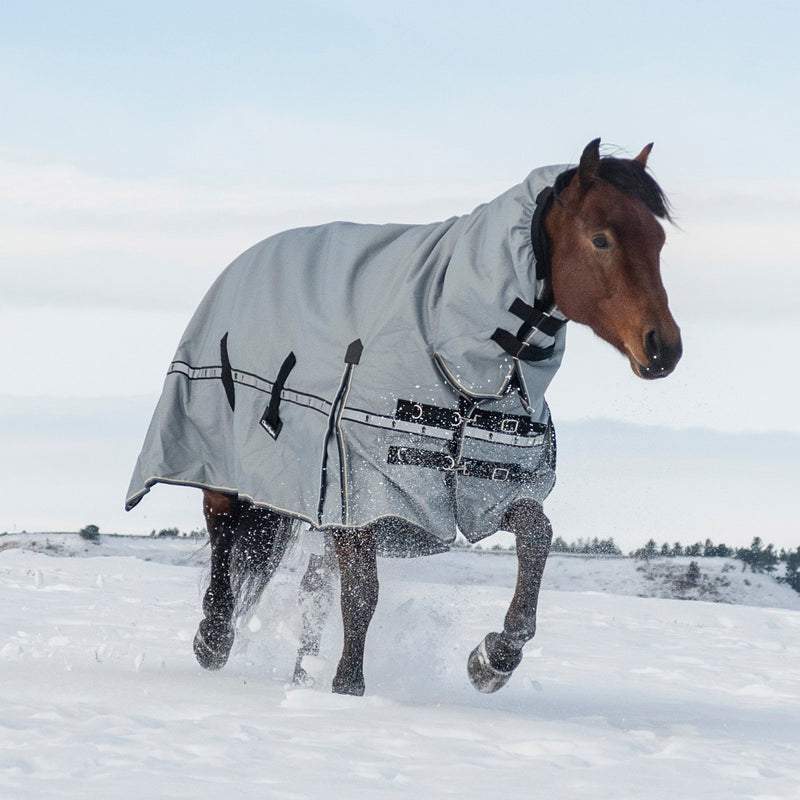Load image into Gallery viewer, Classic Equine 10K Hooded Cross Trainer Blanket
