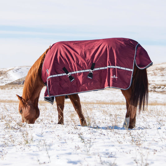 Classic Equine 10K Standard Cross Trainer Blanket