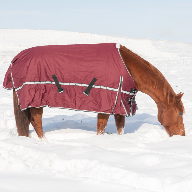 Load image into Gallery viewer, Classic Equine 10K Standard Cross Trainer Blanket
