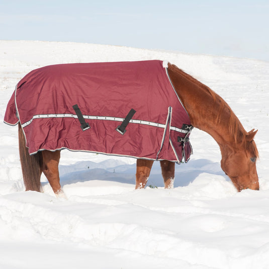 Classic Equine 10K Standard Cross Trainer Blanket