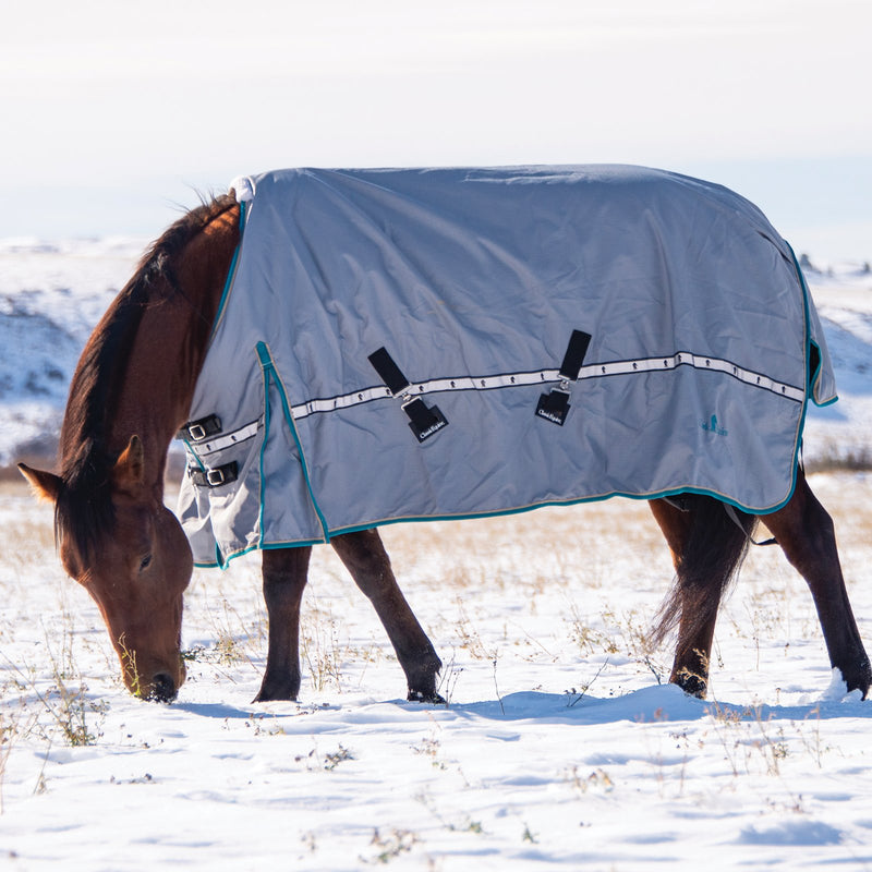 Load image into Gallery viewer, Classic Equine 10K Standard Cross Trainer Blanket
