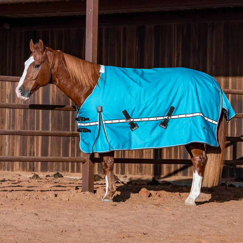 Load image into Gallery viewer, Classic Equine 10K Standard Cross Trainer Blanket
