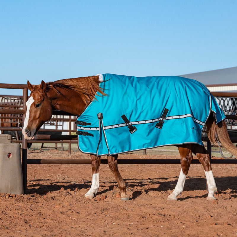 Load image into Gallery viewer, Classic Equine 10K Standard Cross Trainer Blanket
