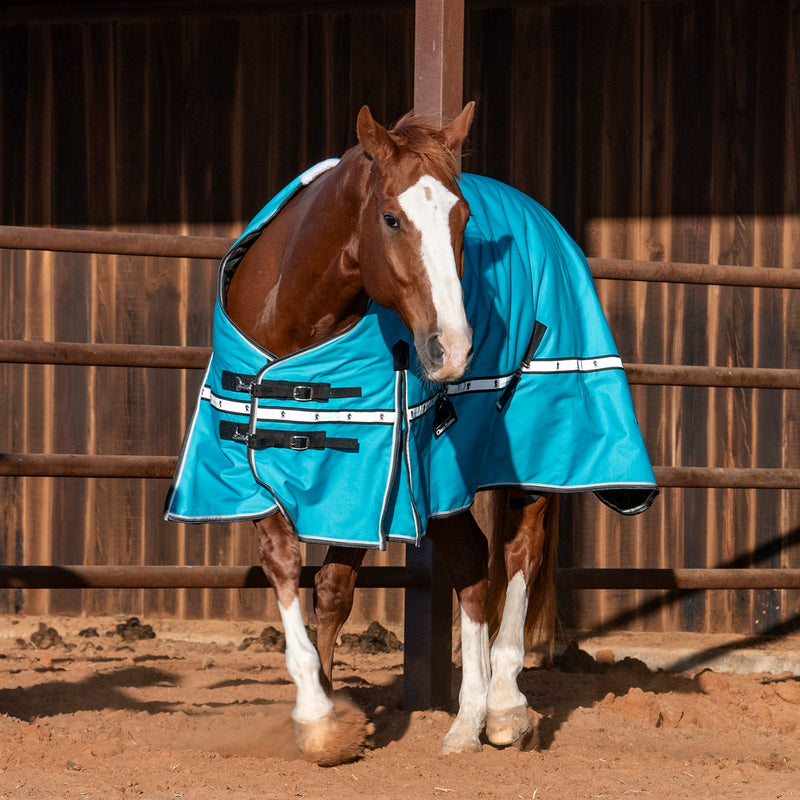 Load image into Gallery viewer, Classic Equine 10K Standard Cross Trainer Blanket
