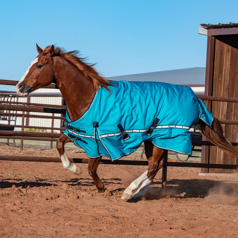 Load image into Gallery viewer, Classic Equine 10K Standard Cross Trainer Blanket

