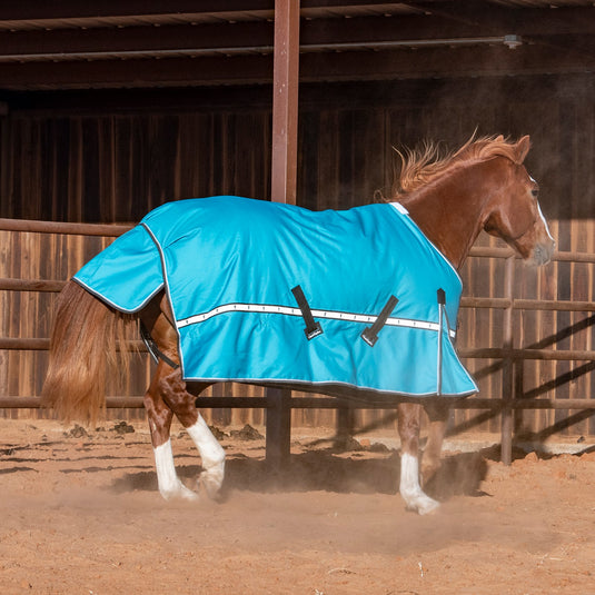 Classic Equine 10K Standard Cross Trainer Blanket