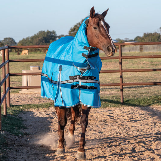 Classic Equine 10K Hooded Cross Trainer Blanket