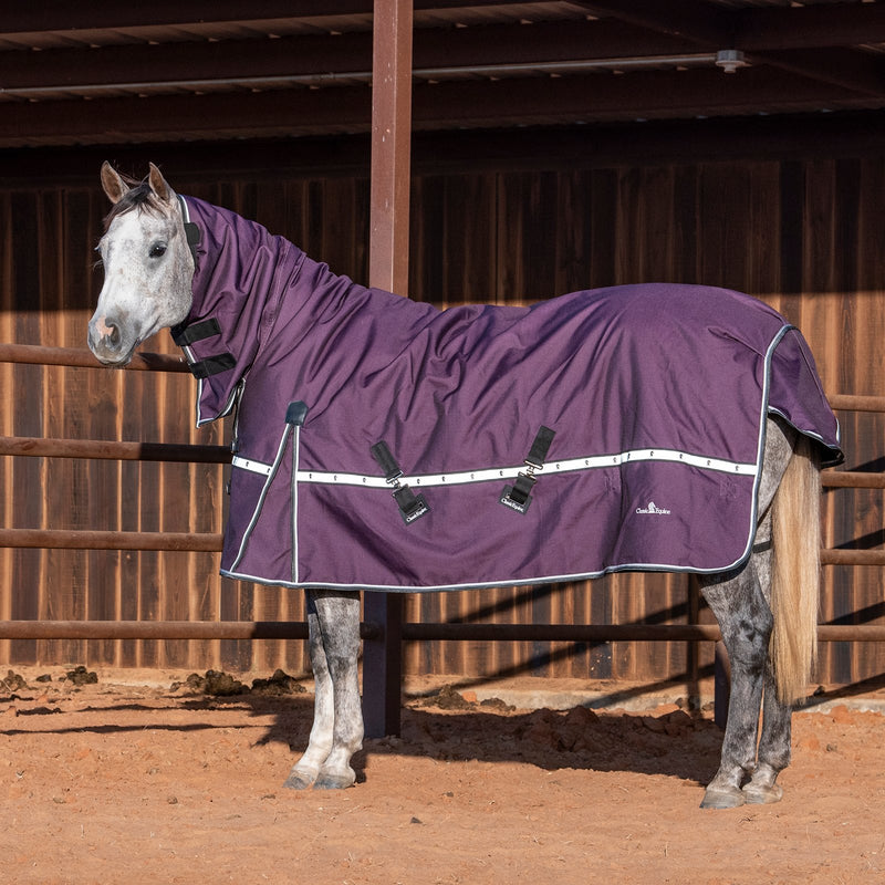 Load image into Gallery viewer, Classic Equine 10K Hooded Cross Trainer Blanket
