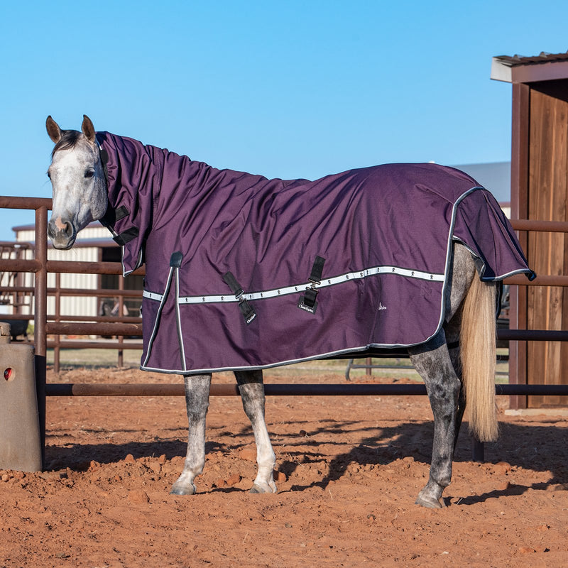 Load image into Gallery viewer, Classic Equine 10K Hooded Cross Trainer Blanket
