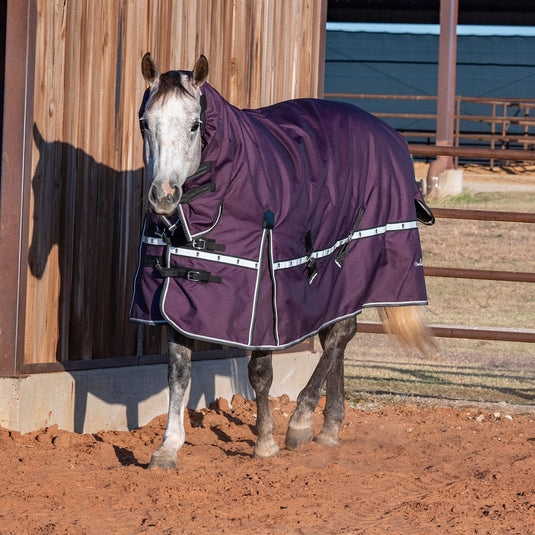 Classic Equine 10K Hooded Cross Trainer Blanket