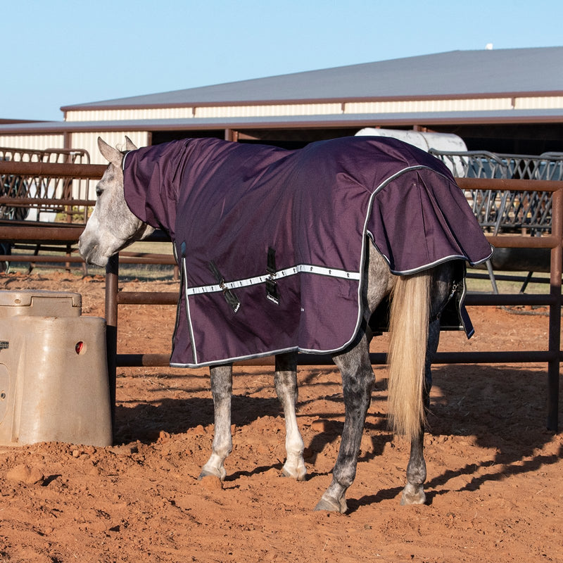 Load image into Gallery viewer, Classic Equine 10K Hooded Cross Trainer Blanket
