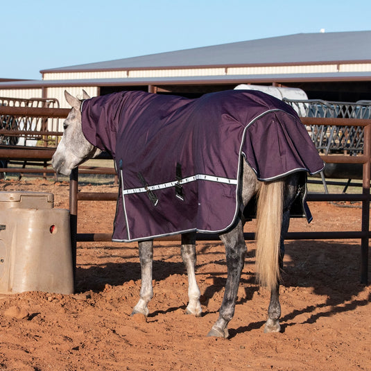 Classic Equine 10K Hooded Cross Trainer Blanket