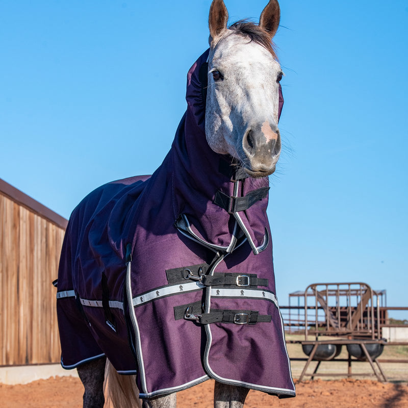 Load image into Gallery viewer, Classic Equine 10K Hooded Cross Trainer Blanket
