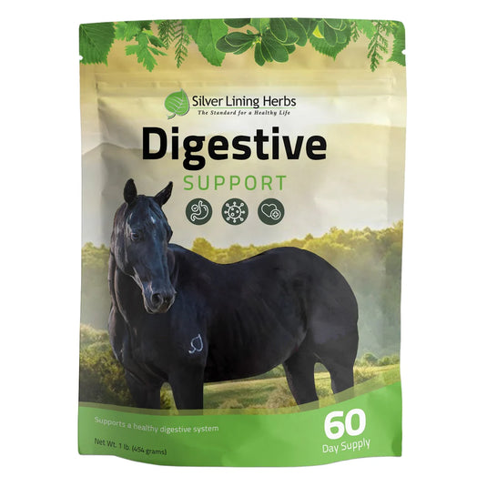 Silver Lining Digestive Support for Horses - 1 LB