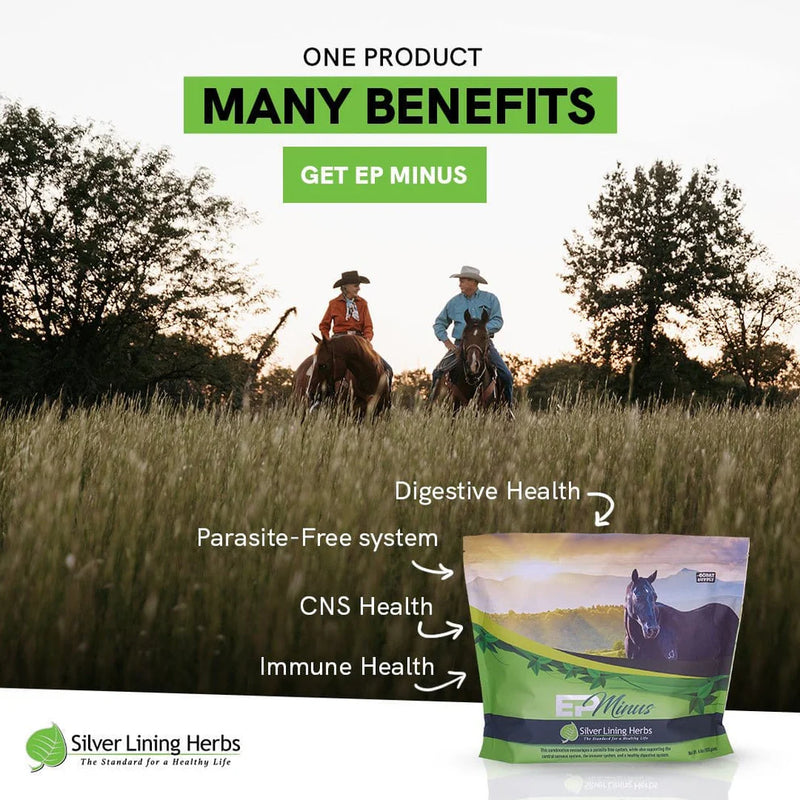 Load image into Gallery viewer, Silver Lining EP Minus for Horses - 4 LB

