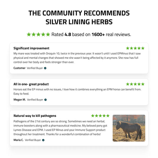 Silver Lining EP Minus for Horses - 4 LB