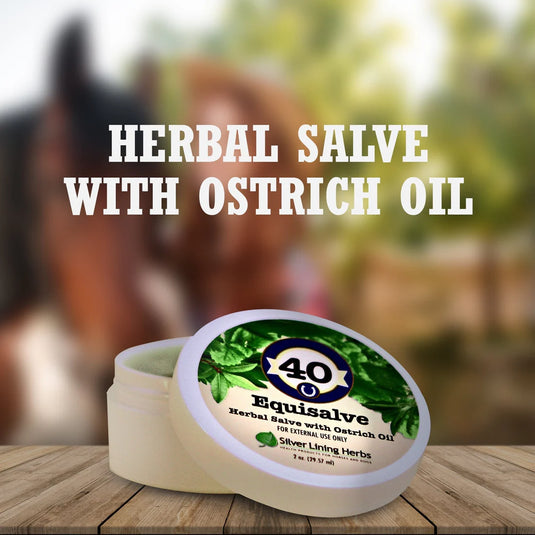 Silver Lining Equisalve for Horses - 2 oz.