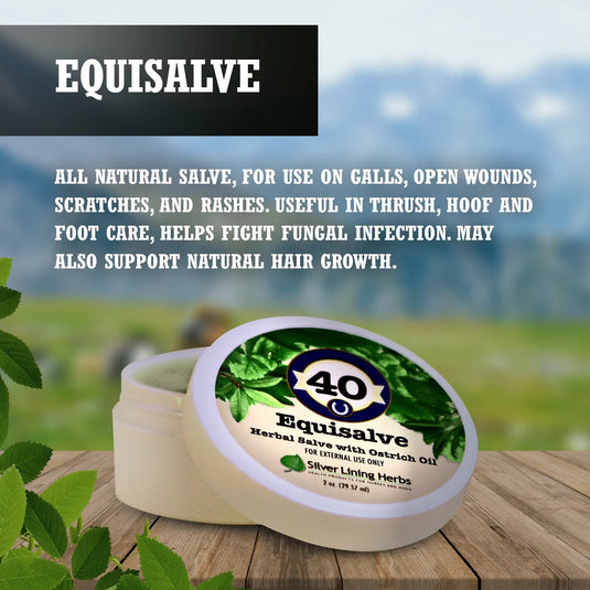 Silver Lining Equisalve for Horses - 2 oz.