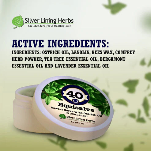 Silver Lining Equisalve for Horses - 2 oz.