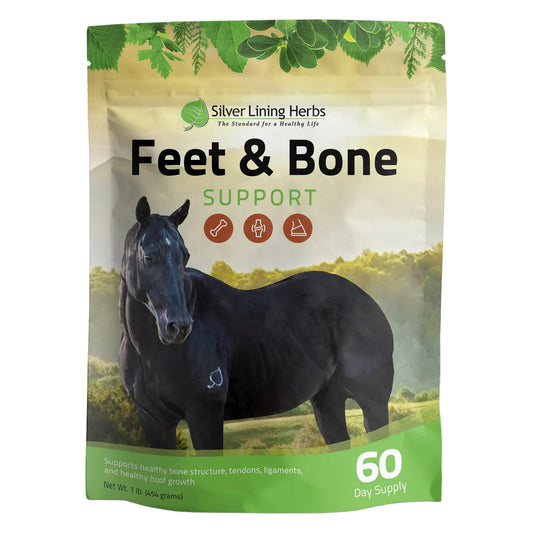 Silver Lining Feet & Bone Support for Horses - 1 LB