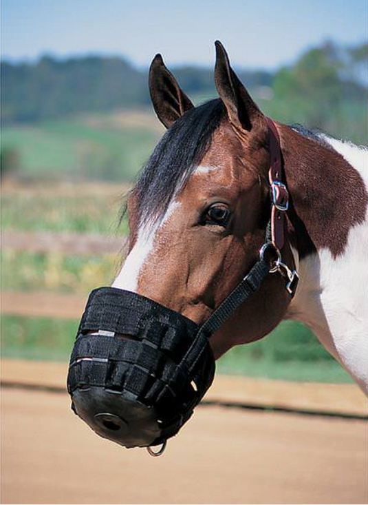 Grazing Muzzle with Crown Buckle