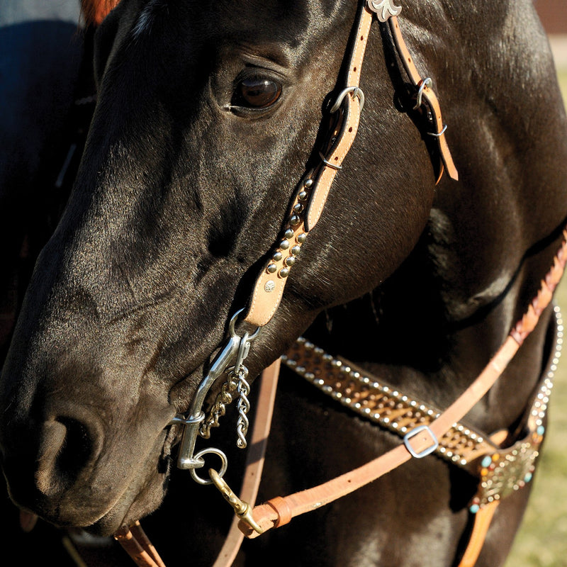Load image into Gallery viewer, Classic Equine Goostree CG Chain Snaffle Bit
