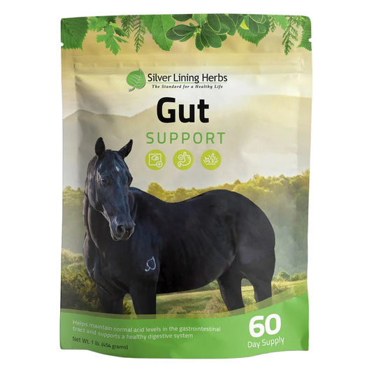 Silver Lining Gut Support for Horses - 1 LB