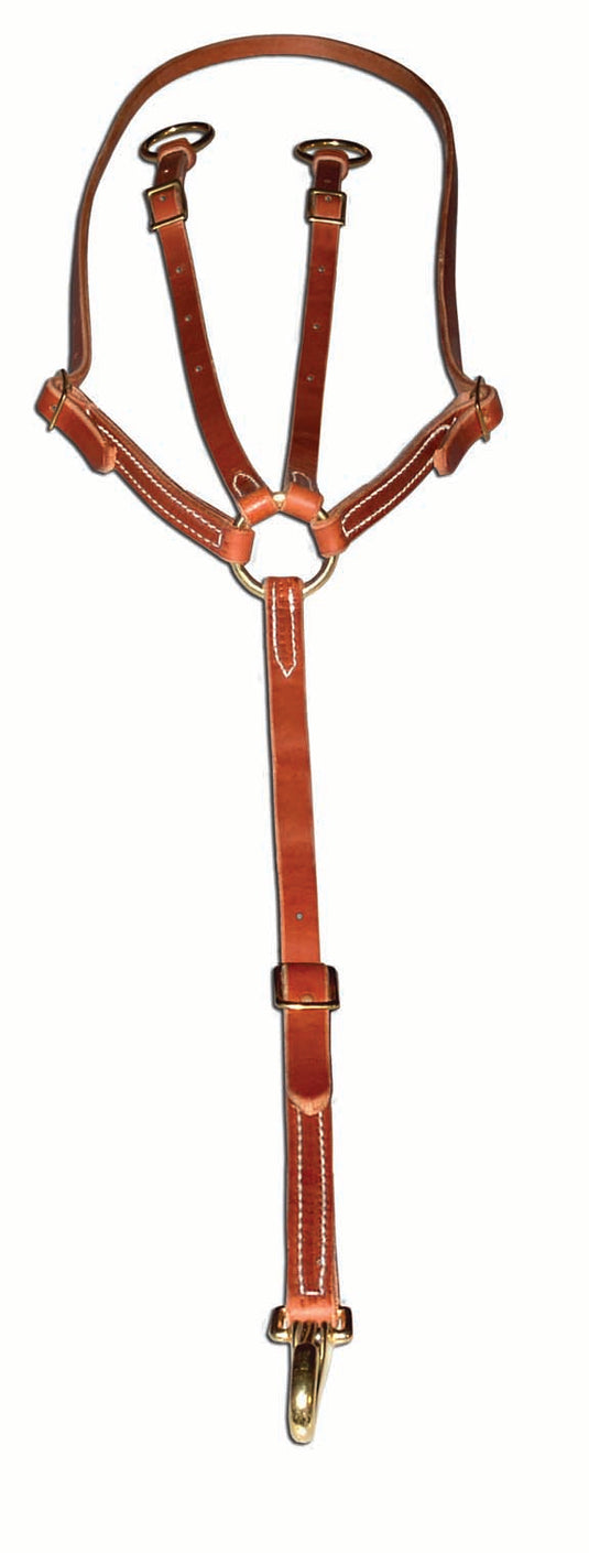 Berlin Harness Running Martingale
