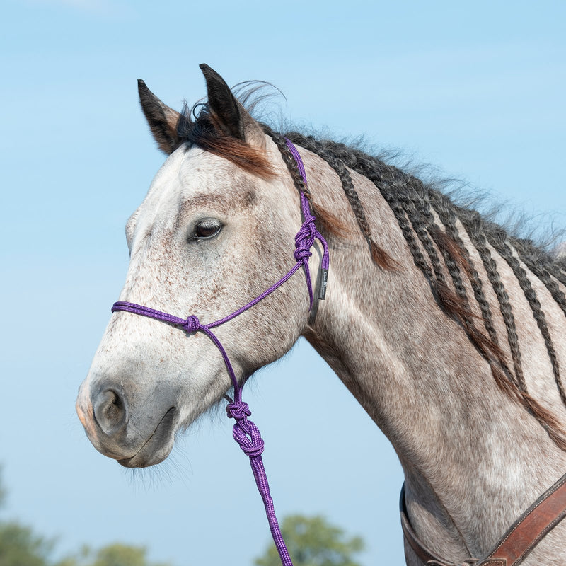 Load image into Gallery viewer, Classic Equine Rope Halter with Lead

