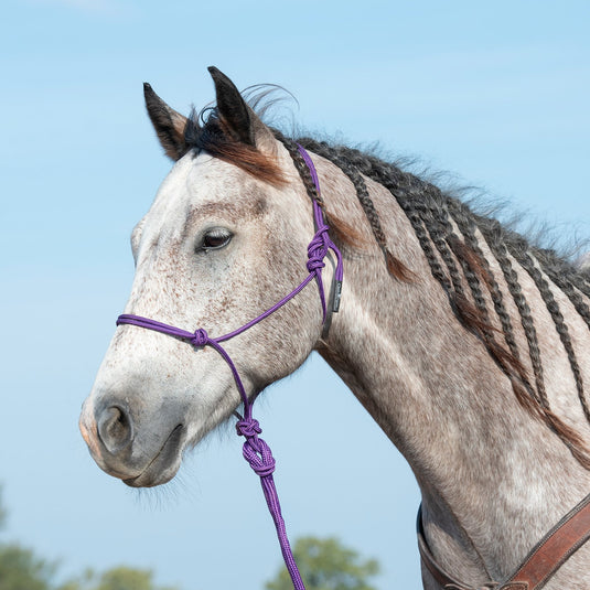 Classic Equine Rope Halter with Lead