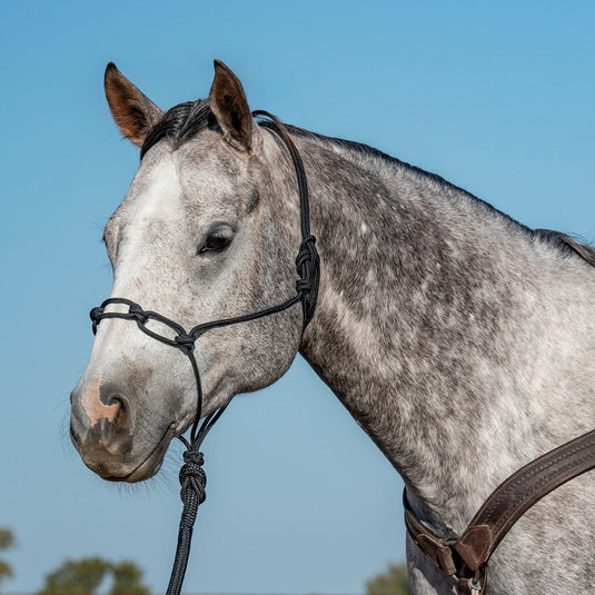 Classic Equine Rope Chain Link Rope Halter - Black