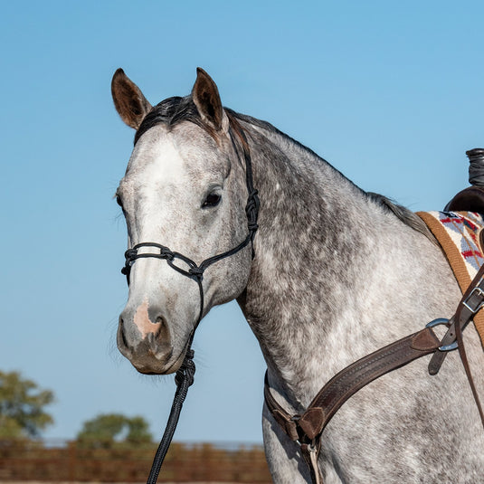 Classic Equine Rope Chain Link Rope Halter - Black