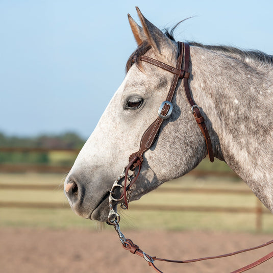 Martin Chocolate Roughout Rosettes Browband Headstall