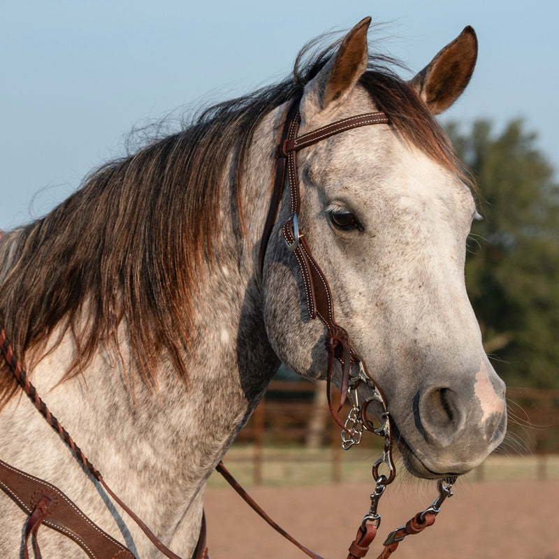 Load image into Gallery viewer, Martin Chocolate Roughout Rosettes Browband Headstall
