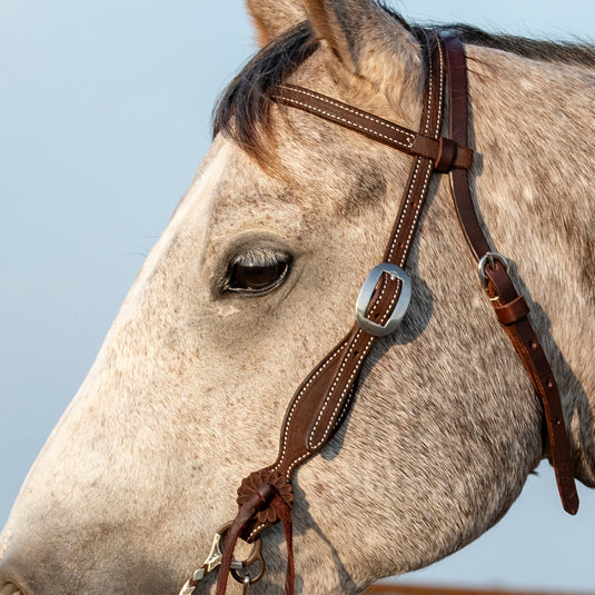 Martin Chocolate Roughout Rosettes Browband Headstall