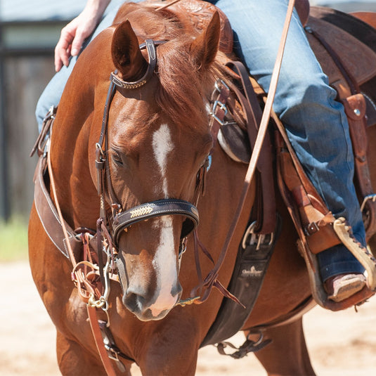 Martin Chocolate Slip Ear Rawhide Laced Headstall