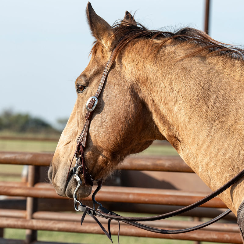 Load image into Gallery viewer, Martin Weathered Antique Weave Stamped Slip Ear Headstall
