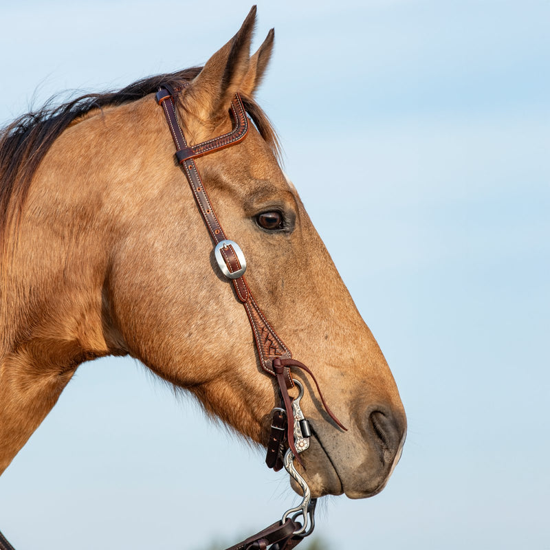 Load image into Gallery viewer, Martin Weathered Antique Weave Stamped Slip Ear Headstall

