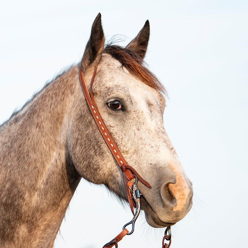 Load image into Gallery viewer, Martin Ranahan Roughout Chestnut Skirting Buckstitch Stamped Split Ear Headstall
