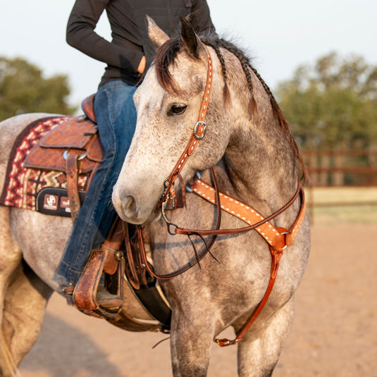 Martin Ranahan Roughout Chestnut Skirting Buckstitch Stamped Split Ear Headstall