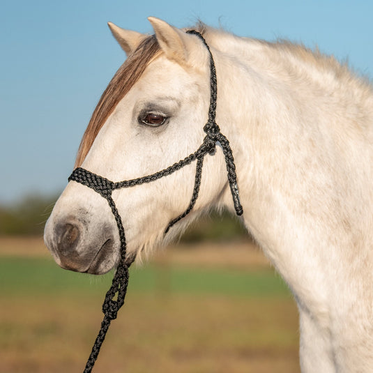 Cashel Flat Braid Pony Halter with Lead