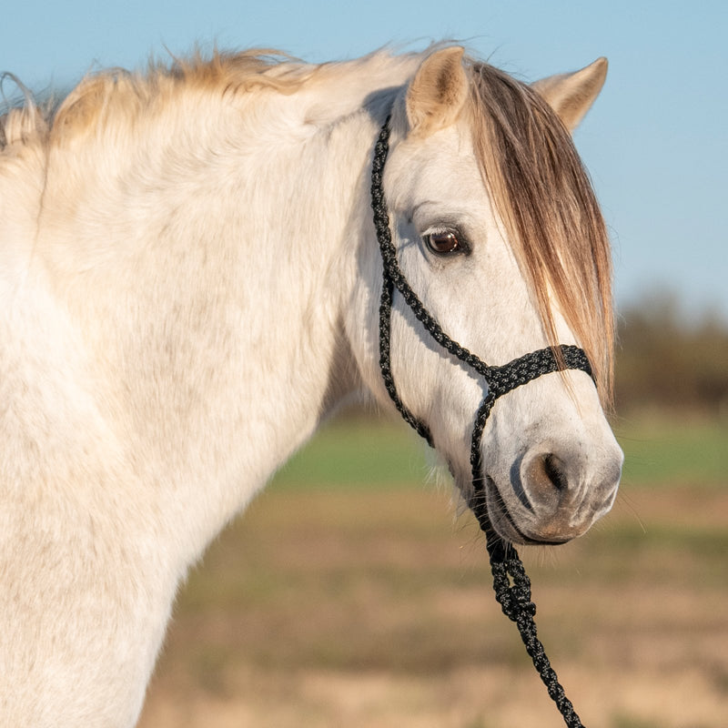 Load image into Gallery viewer, Cashel Flat Braid Pony Halter with Lead
