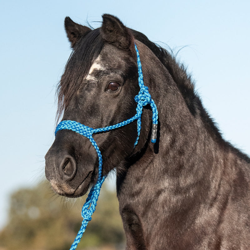Load image into Gallery viewer, Cashel Flat Braid Pony Halter with Lead
