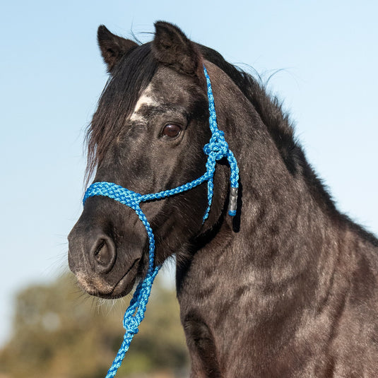 Cashel Flat Braid Pony Halter with Lead