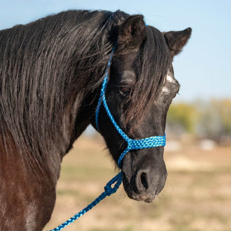 Load image into Gallery viewer, Cashel Flat Braid Pony Halter with Lead
