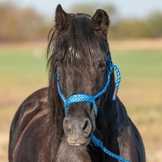 Cashel Flat Braid Pony Halter with Lead