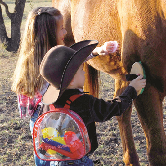 Classic Equine My First Groom Kit