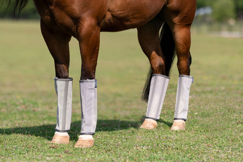 Load image into Gallery viewer, Professional's Choice Deluxe Fly Boots
